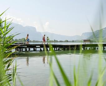 Kalterersee entdecken und genießen